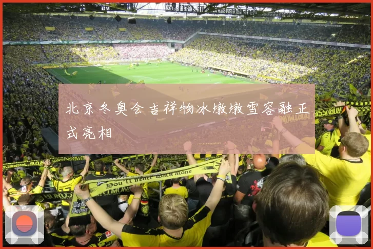 北京冬奥会吉祥物冰墩墩雪容融正式亮相